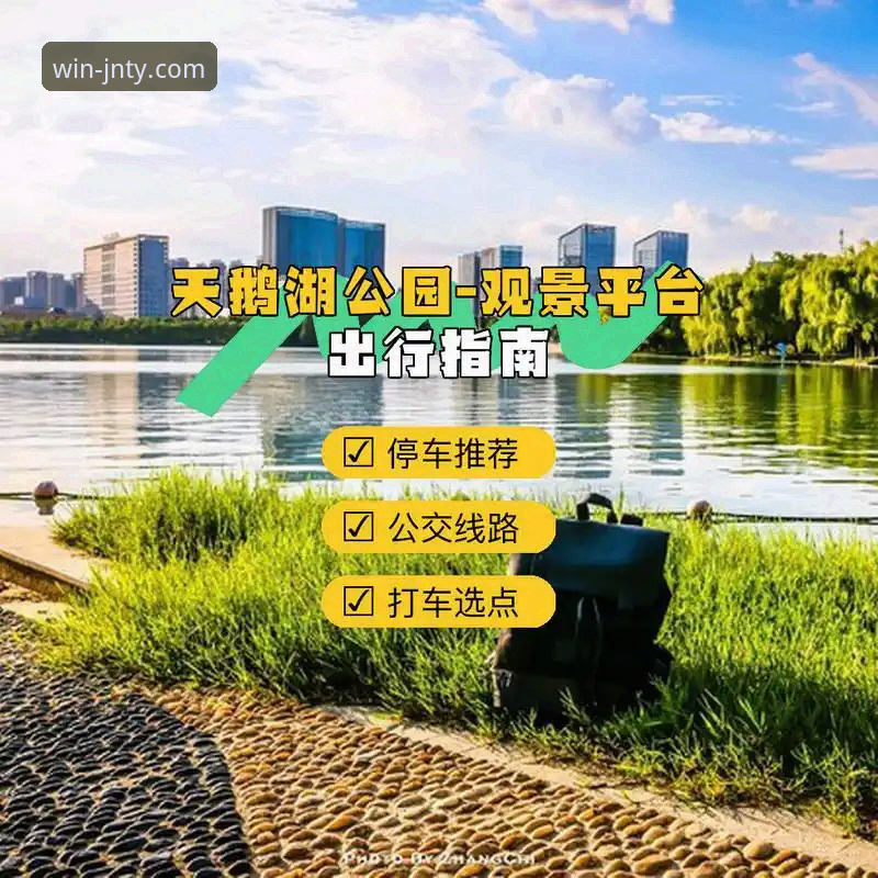 江南体育平台APP下载与使用完整指南：从v3.5.1版本解析到实战投注